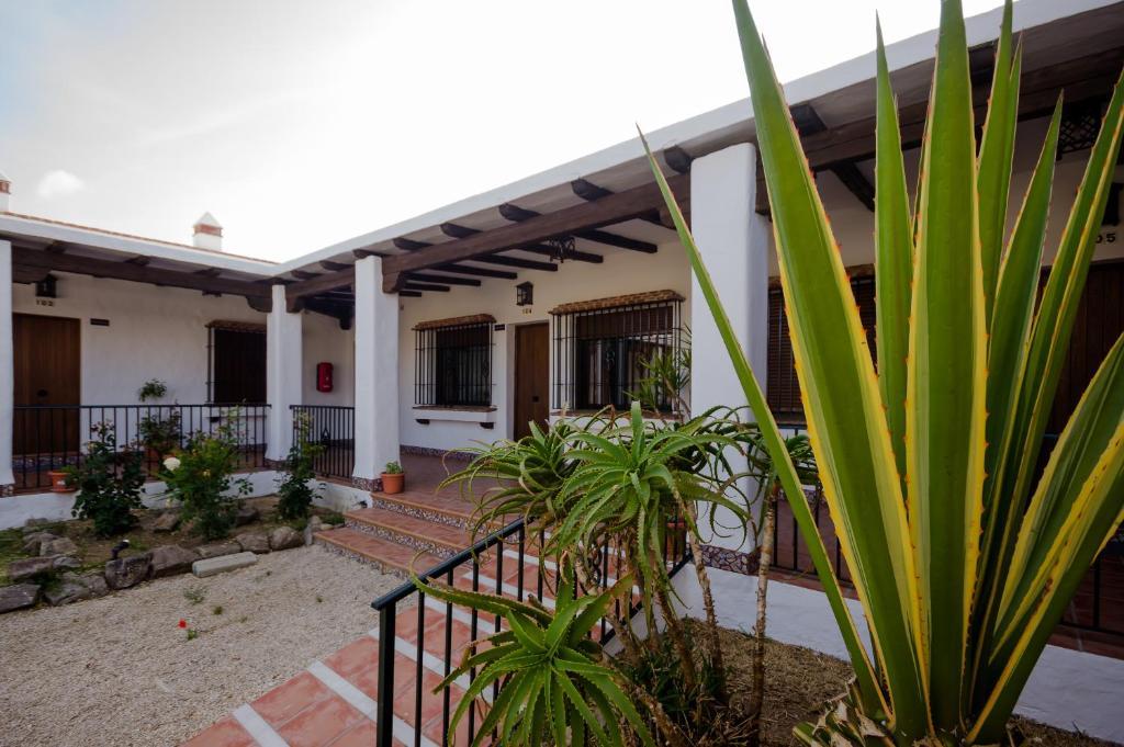 Hacienda Puerto Conil * Conil De La Frontera